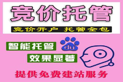 百度推广技巧：实战案例分析