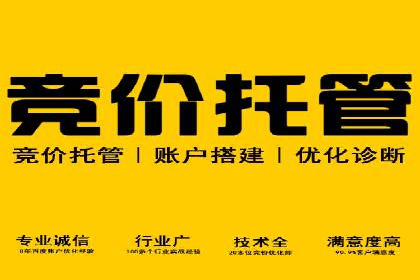 SEM托管公司案例分析：实战技巧全解析